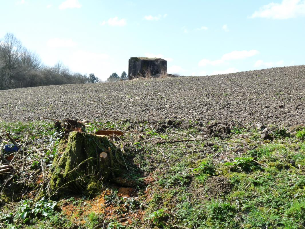 Ligne Maginot - AB350 - ROSSELN - (Blockhaus pour arme infanterie) - Le blockhaus de loin. - Sylvie Laure LAMBERT