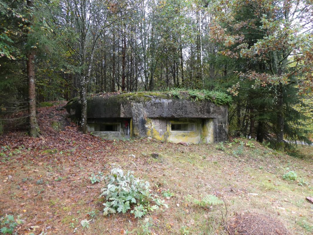 Ligne Maginot - GLASBRONN 2 - (Blockhaus pour arme infanterie) -  - ELLENA - CUNY