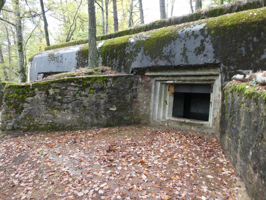 Ligne Maginot - BIESENBERG - (Casemate d'artillerie) -  - ELLENA - CUNY