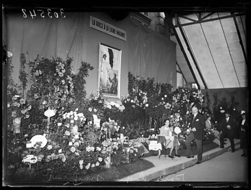 Ligne Maginot - La Rose à la ligne Maginot - Exposition d'Horticulture de mai 1938 à Paris
Stand de la Rose à la Ligne Maginot