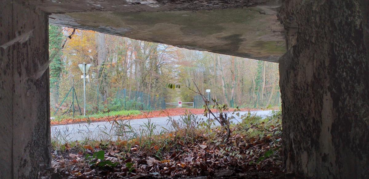 Ligne Maginot - 3 - UNTERJAEGERHOF - ROUTE DU WALDHOF - (Casemate d'infanterie - Simple) - Chambre de tir gauche, vue depuis le créneau mitrailleuse (route du Fort Ney) - Les Gardiens du Rhin