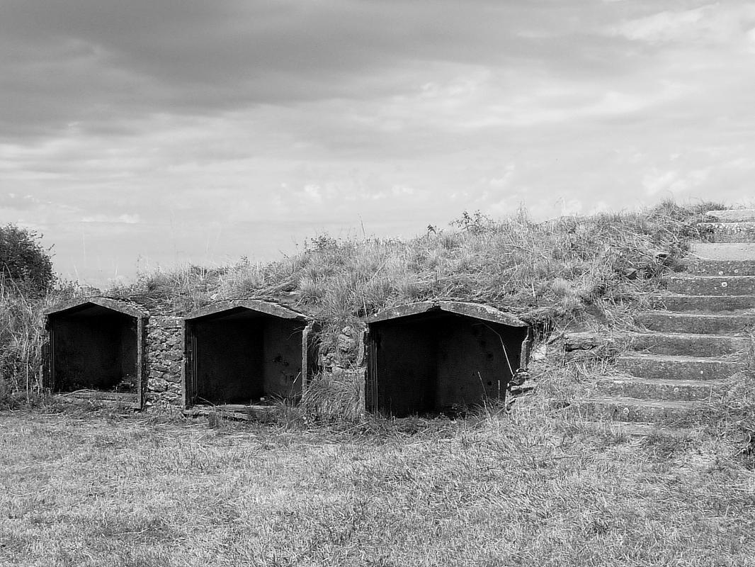 Ligne Maginot - BOIS DU FOUR - A5 - (Ouvrage d'infanterie) - Les niches à mines  - Sylvie Laure LAMBERT