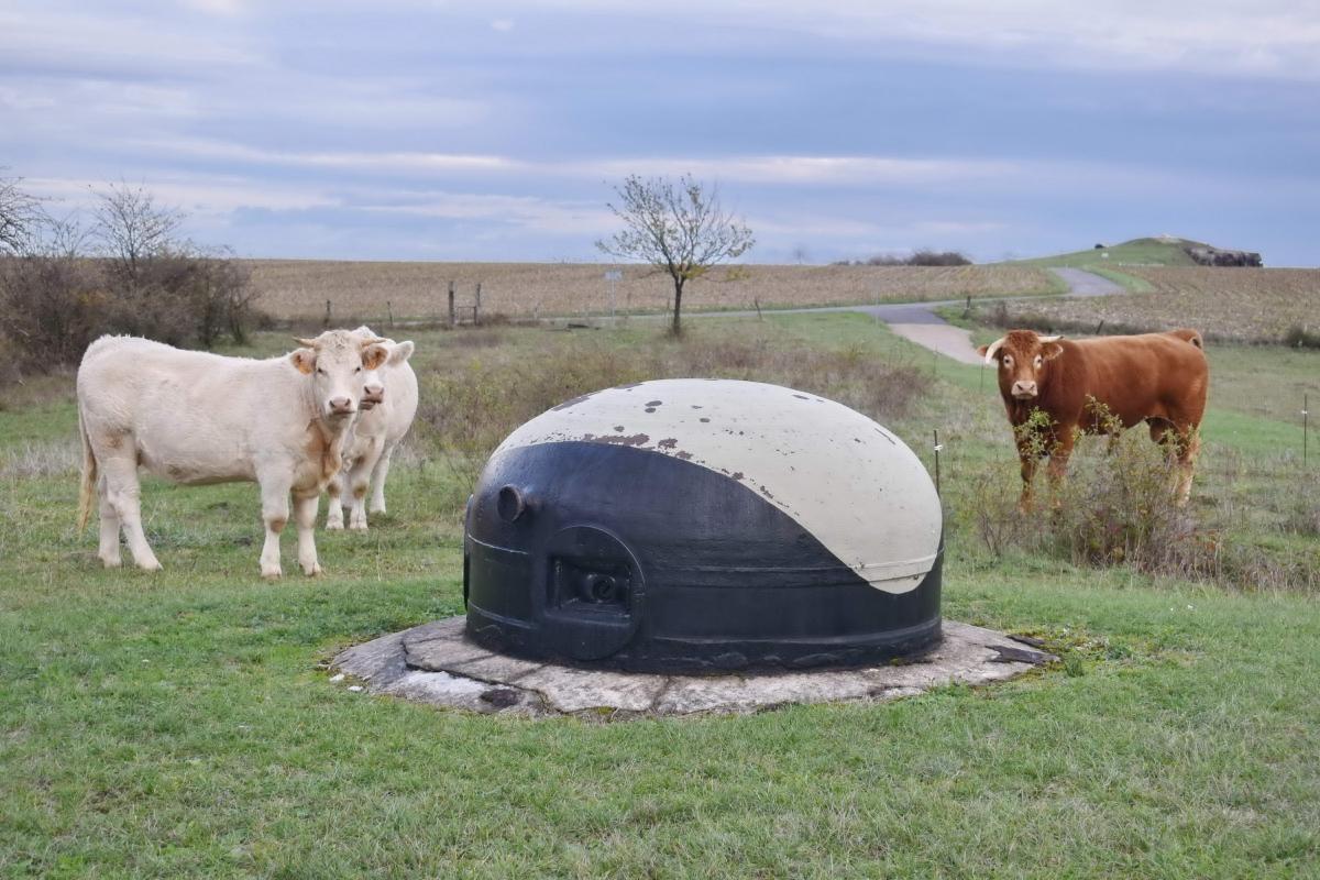 Ligne Maginot - ROHRBACH - FORT CASSO - (Ouvrage d'infanterie) - Bloc 1
Cloche nord, au fond bloc 3 - Daniel Froehly