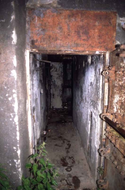 Ligne Maginot - 49/3 - BALGAU SUD - (Casemate d'infanterie - double) - La casemate en 1999 - Valentin Hemmert