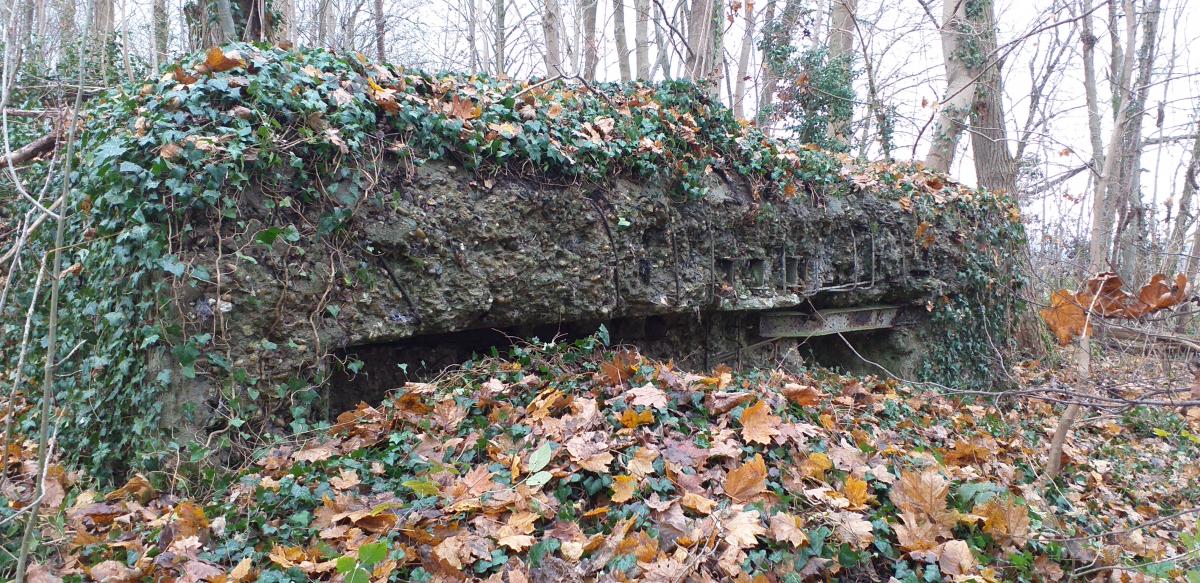 Ligne Maginot - FORT FOCH GLACIS - (Blockhaus pour arme infanterie) - Façade de la chambre de tir - Gregory Fuchs