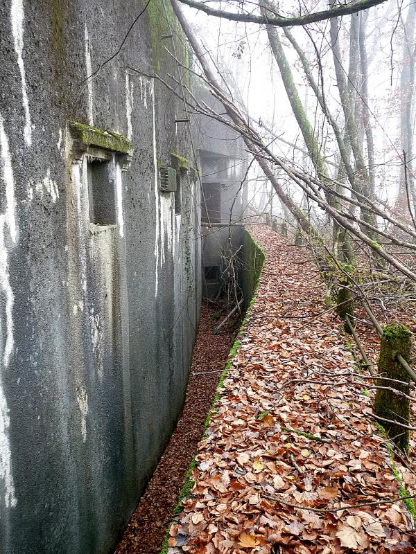 Ligne Maginot - BARRUNGSHOFF - BORNUNGSHOFF - X11 - (Abri) -     - sylvie laure lambert