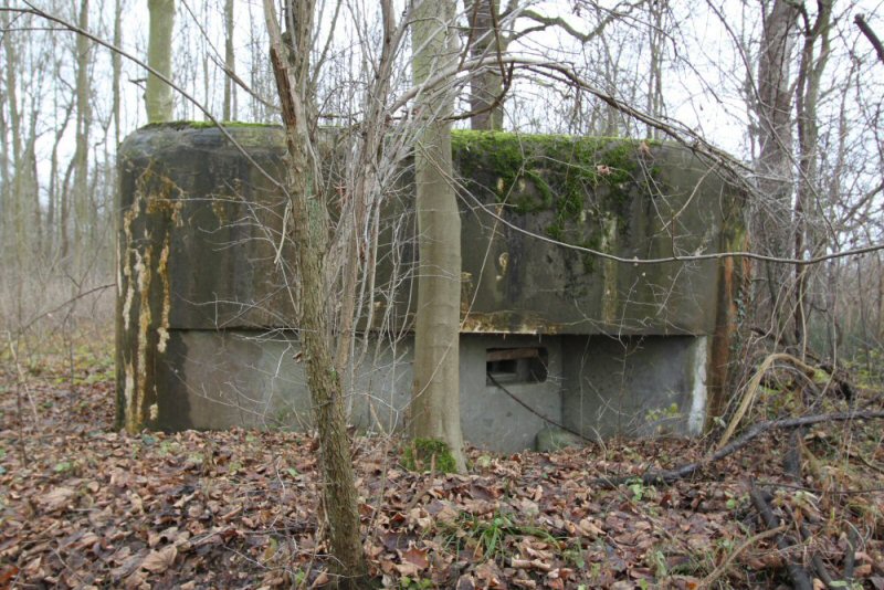 Ligne Maginot - 6 - SIEFFERTS KOEPFEL - (Blockhaus pour arme infanterie) -                             - A. SCHOEN