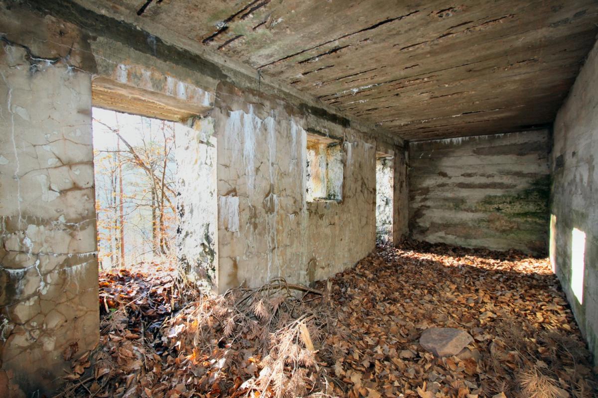 Ligne Maginot - PHILIPPSBOURG (154°RIF - 1/168°RAP) - (PC de Sous-Secteur) - Abri bétonné                 - Antoine SCHOEN