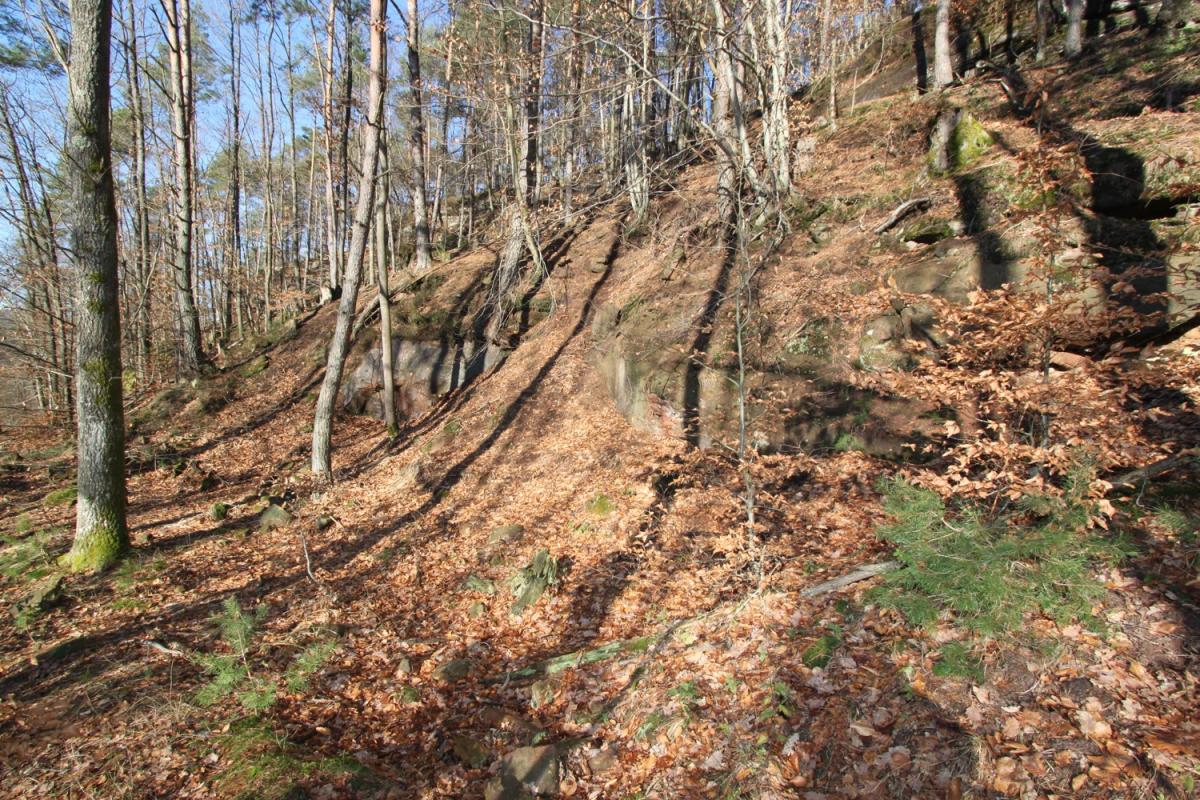 Ligne Maginot - PHILIPPSBOURG (154°RIF - 1/168°RAP) - (PC de Sous-Secteur) - Emplacement d'abris au-dessus du PC                     - Antoine SCHOEN