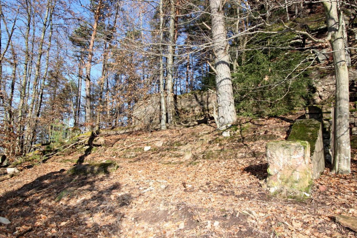 Ligne Maginot - PHILIPPSBOURG (154°RIF - 1/168°RAP) - (PC de Sous-Secteur) - Escalier et terrasse du bâtiment central disparu                               - Antoine SCHOEN