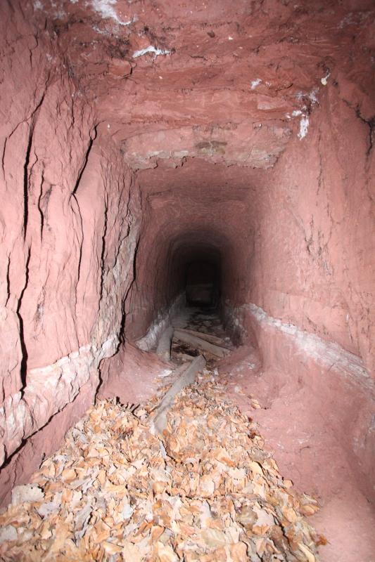 Ligne Maginot - PHILIPPSBOURG (154°RIF - 1/168°RAP) - (PC de Sous-Secteur) - Accès à la galerie de sureté                                        - Antoine SCHOEN