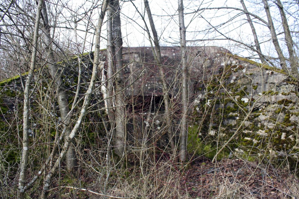 Ligne Maginot - ERNESTVILLER 2 - (Blockhaus de type indeterminé) -   - Michel & Philippe ZIMMER