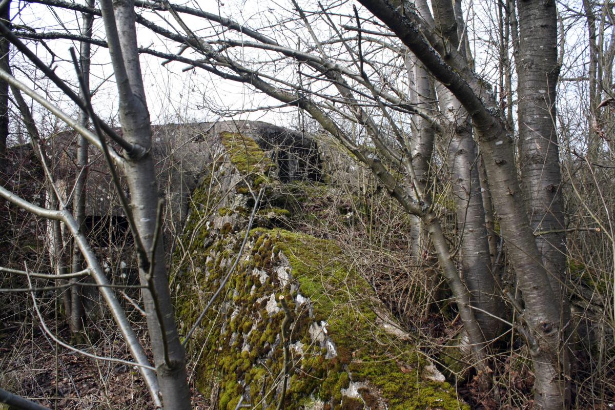 Ligne Maginot - ERNESTVILLER 2 - (Blockhaus de type indeterminé) -      - Michel & Philippe ZIMMER