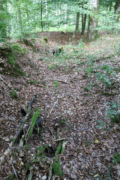 Ligne Maginot - HOHENFELS - QUARTIER NEUNHOFFEN (III / 154° RIF) - (PC de Quartier) -      - Alain Perouffe
