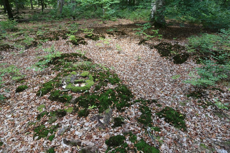 Ligne Maginot - HOHENFELS - QUARTIER NEUNHOFFEN (III / 154° RIF) - (PC de Quartier) -       - Alain Perouffe