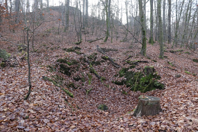 Ligne Maginot - PETIT STEINBERG  - (Cuve pour arme d'infanterie) - En contrebas du rocher, position d'arme - Alain Perouffe