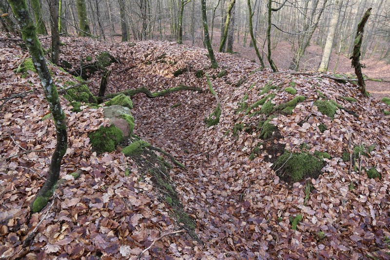 Ligne Maginot - PETIT STEINBERG  - (Cuve pour arme d'infanterie) - Relié par tranchée à l'autre position - Alain Perouffe