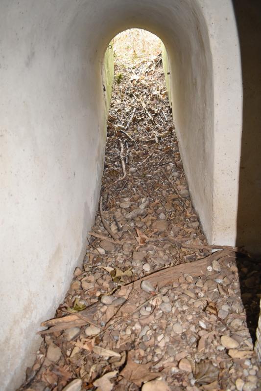 Ligne Maginot - STOECKLE - GOLDGRUBE 1 - (Blockhaus pour arme infanterie) - Couloir vers l'entrée nord, avec sortie directe - Daniel Froehly