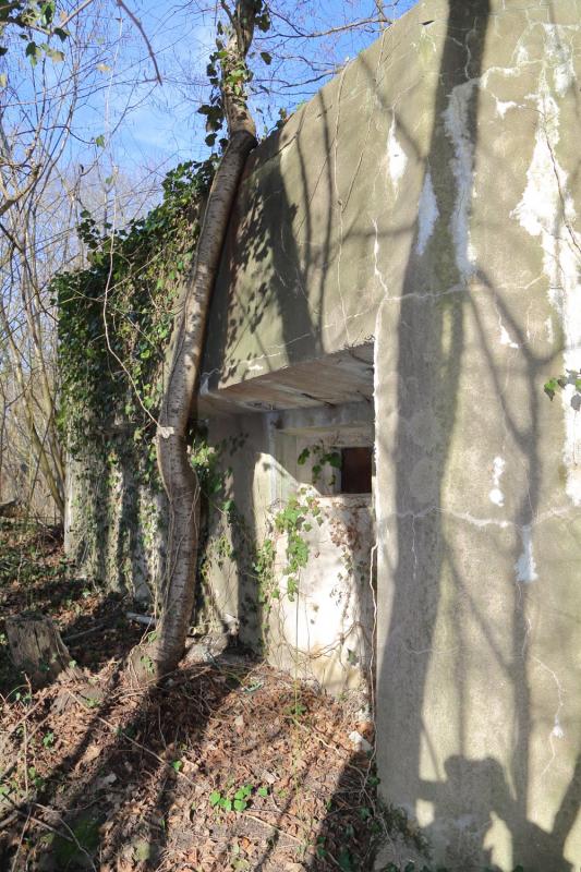 Ligne Maginot - DIGUE DE GERSTHEIM 2 - (Blockhaus pour arme infanterie) -          - A. SCHOEN