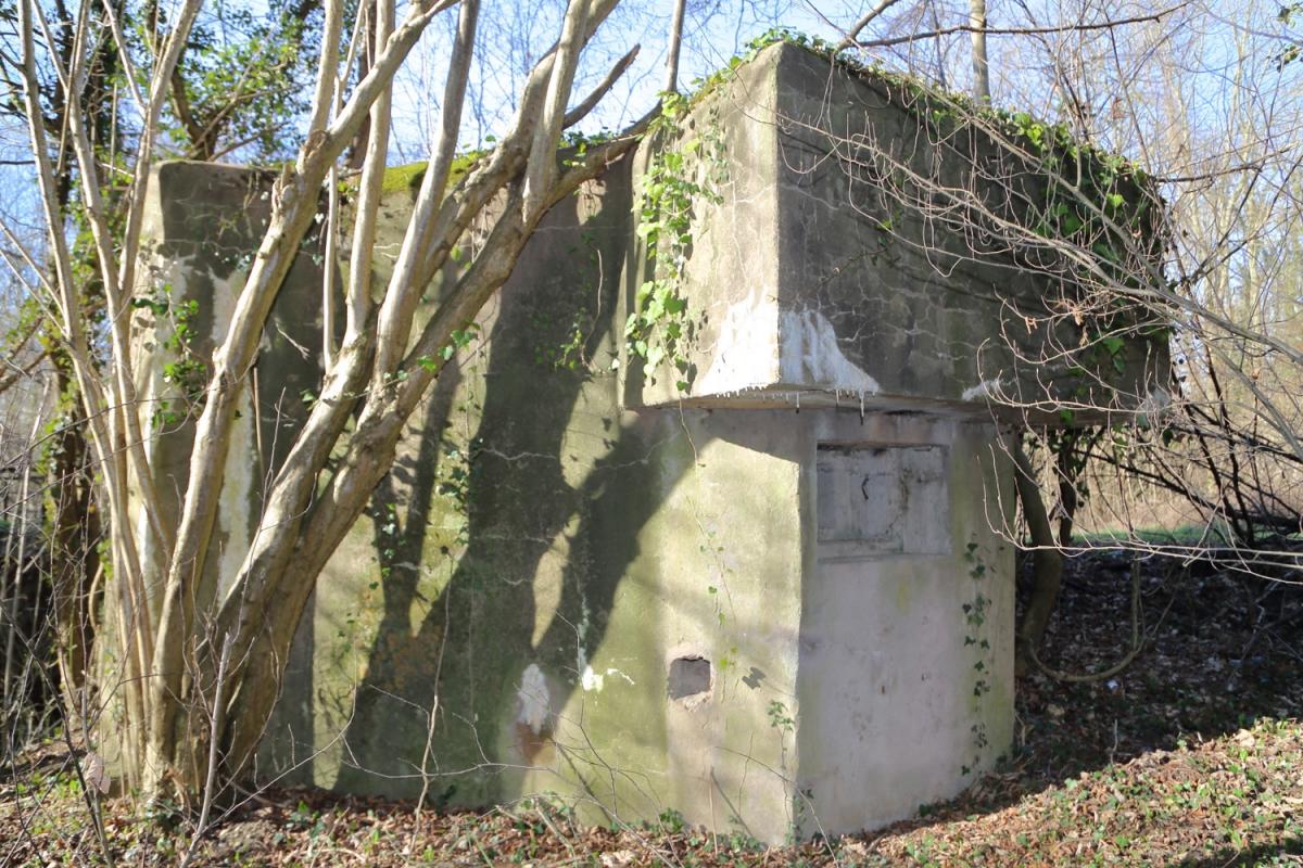 Ligne Maginot - DIGUE DE GERSTHEIM 2 - (Blockhaus pour arme infanterie) -           - A. SCHOEN