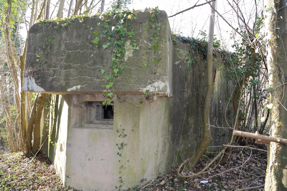 Ligne Maginot - DIGUE DE GERSTHEIM 2 - (Blockhaus pour arme infanterie) -            - A. SCHOEN