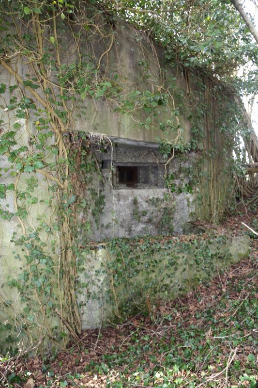 Ligne Maginot - STEINSPORENKOPF NORD - (Casemate d'infanterie - Simple) -    - A. SCHOEN