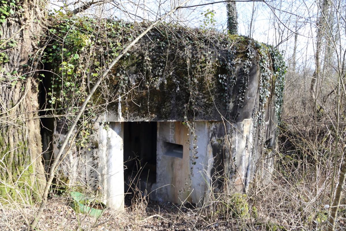 Ligne Maginot - STEINSPORENKOPF SUD - (Casemate d'infanterie - Simple) -   - A. SCHOEN