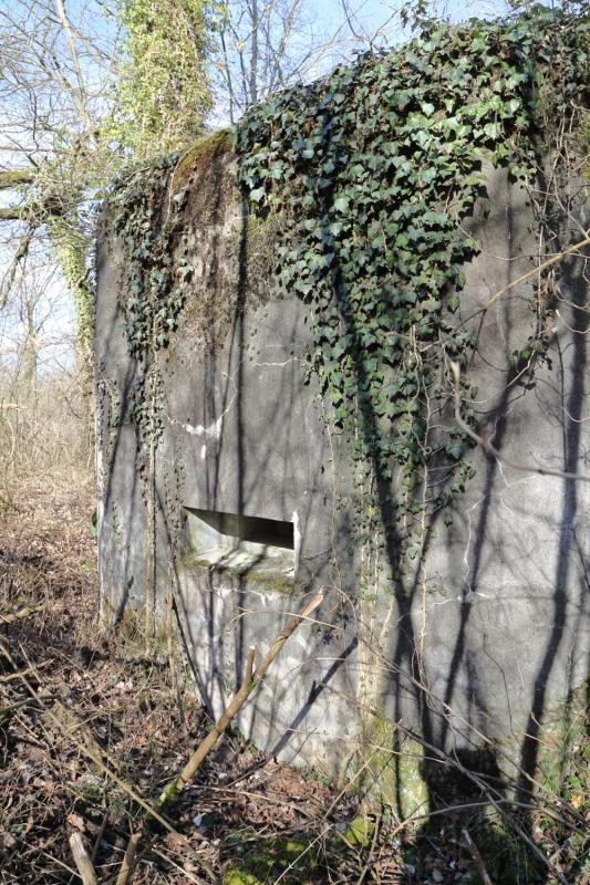 Ligne Maginot - STEINSPORENKOPF SUD - (Casemate d'infanterie - Simple) -    - A. SCHOEN