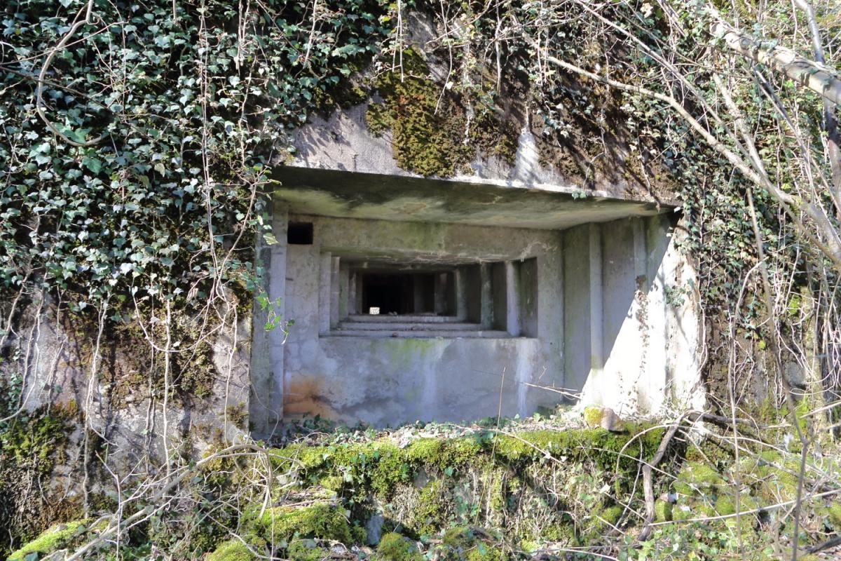 Ligne Maginot - STEINSPORENKOPF SUD - (Casemate d'infanterie - Simple) -     - A. SCHOEN