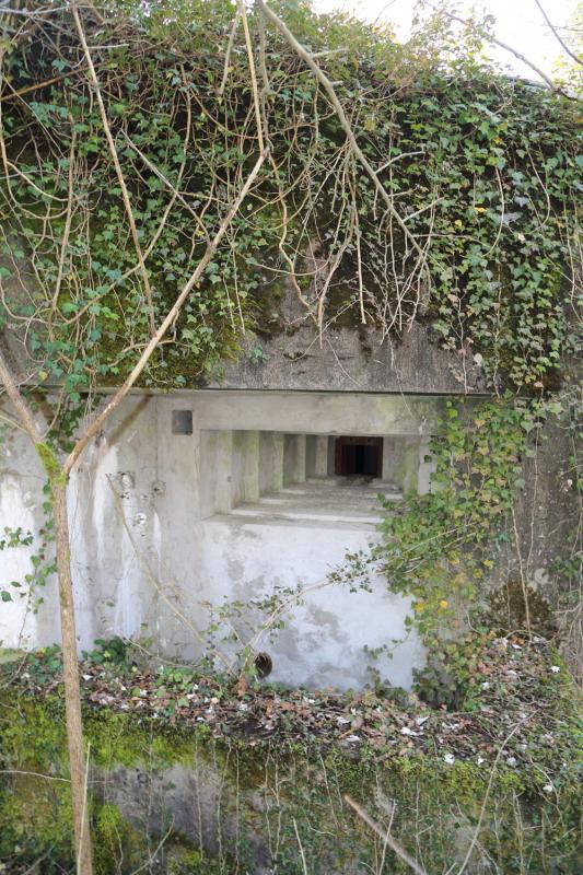 Ligne Maginot - STEINSPORENKOPF SUD - (Casemate d'infanterie - Simple) -         - A. SCHOEN