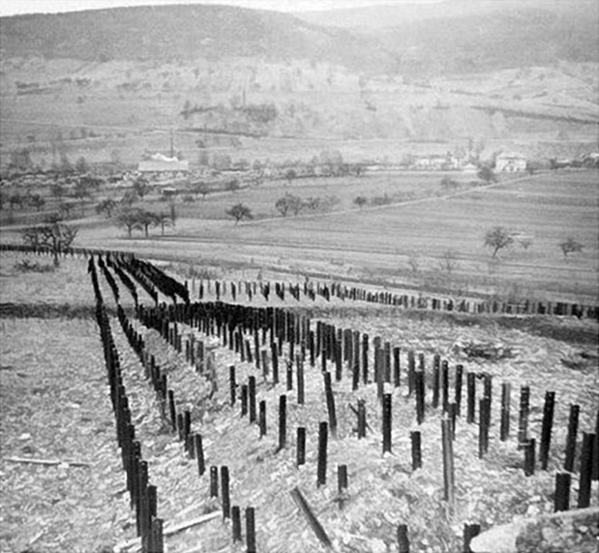 Ligne Maginot - FOUR A CHAUX - FAC - (Ouvrage d'artillerie) - Le réseau de rails antichar sur les avants de l'ouvrage
Photo prise du bloc 6 vers l'ouest - Inconnu