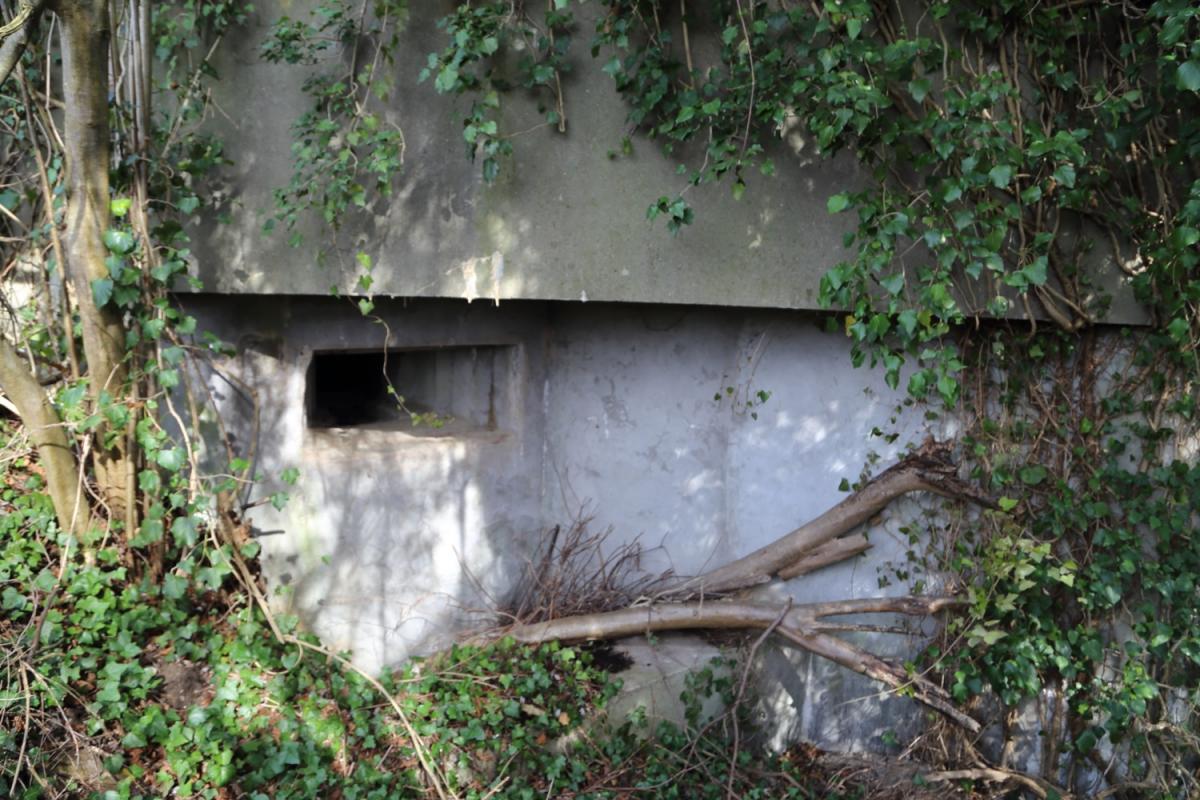 Ligne Maginot - ALTSCHOLLEN - (Blockhaus pour arme infanterie) - Embrasure droite - A. SCHOEN