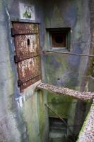 Ligne Maginot - RIPPERT - X13 (QUARTIER KARRE - II/168°RIF) - (Abri) - Entrée droite de l'abri.
La passerelle est toujours en place. Noter les deux créneaux de défense pour FM et les, discrets, restes de peinture de camouflage