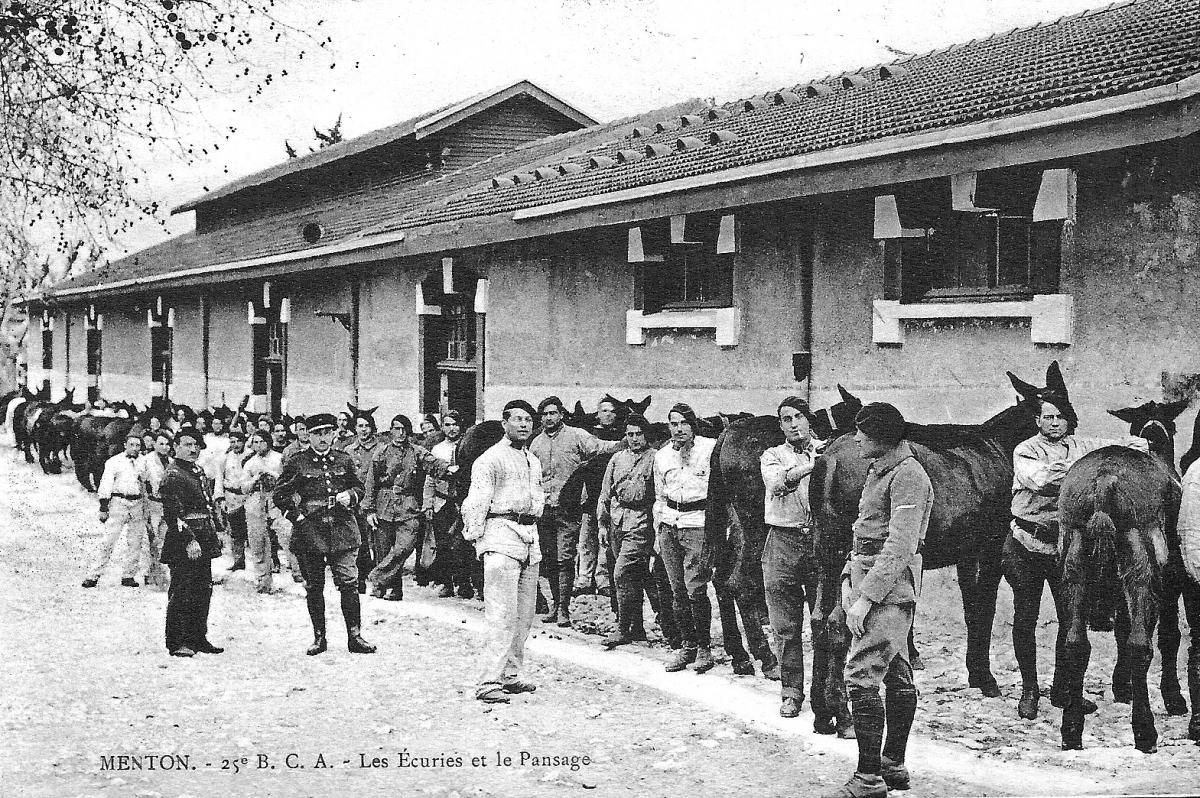 Ligne Maginot - QUARTIER GARDANNE - (Camp de sureté) - Carte Postale années 30
Le 25° BCA , les écuries et le pansage - Inconnu