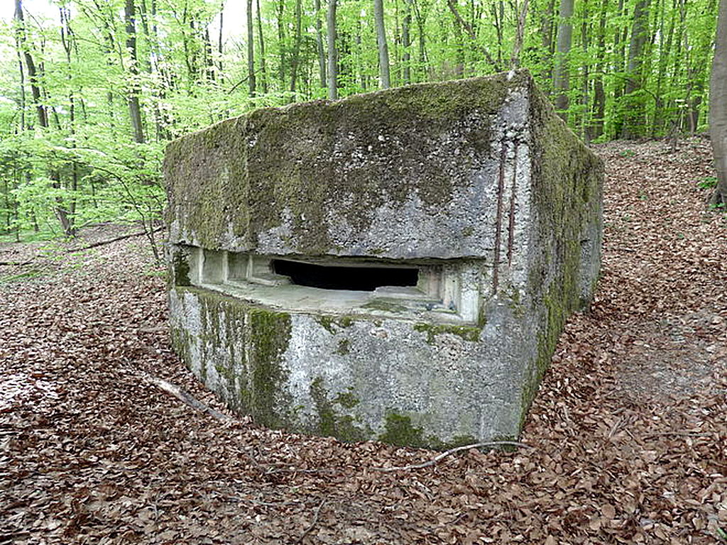 Ligne Maginot - MEISTERBUSCH 3 - (Observatoire d'infanterie) - Un observatoire dans la forêt - Sylvie Laure LAMBERT