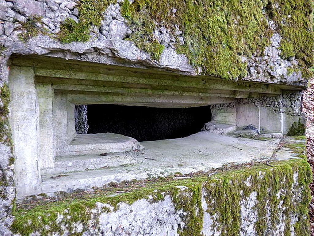 Ligne Maginot - MEISTERBUSCH 3 - (Observatoire d'infanterie) -  - Sylvie Laure LAMBERT