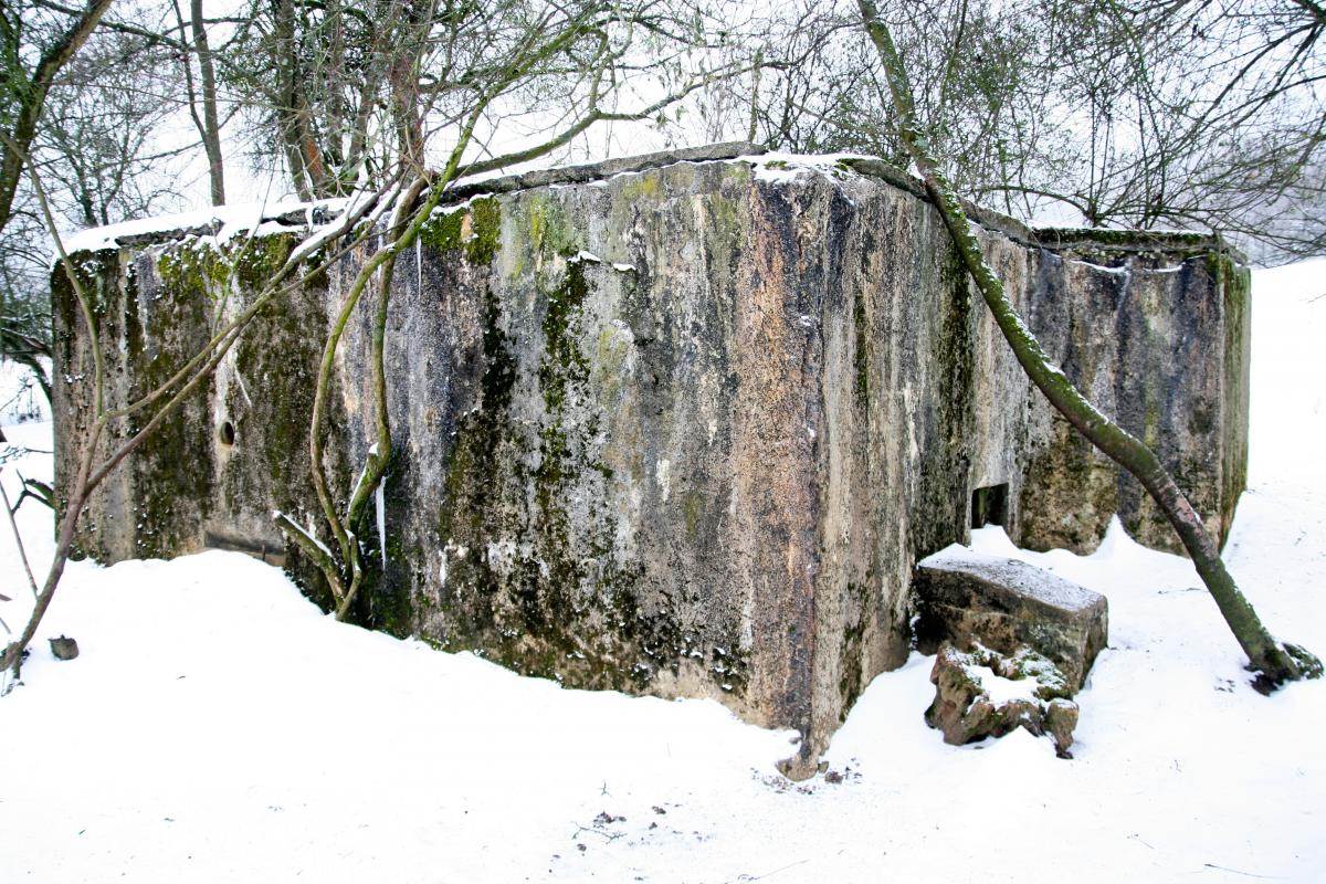 Ligne Maginot - CB316 - BROMMELSBERG SUD - (Blockhaus pour arme infanterie) - Vue latérale du blockhaus. La porte, bouchée par la terre, est sur la gauche - Michel Teiten