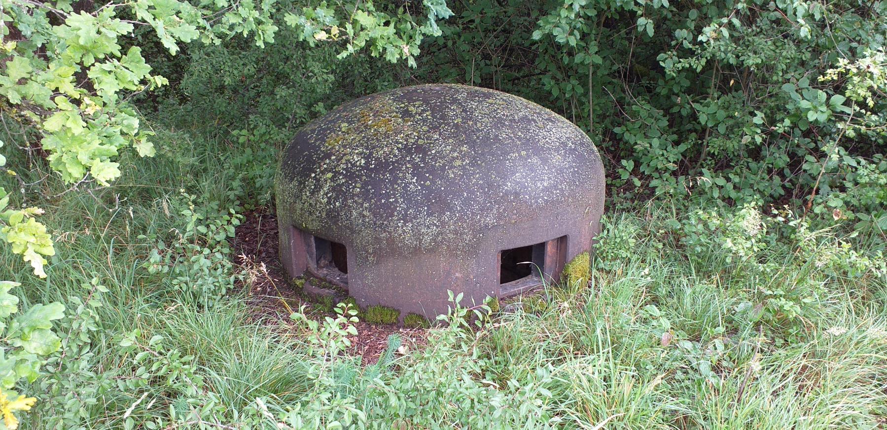 Ligne Maginot - 27BIS/3 - OBERWEIDT - (Casemate d'infanterie - double) - Cloche GFM - Les Gardiens du Rhin - G.Fuchs