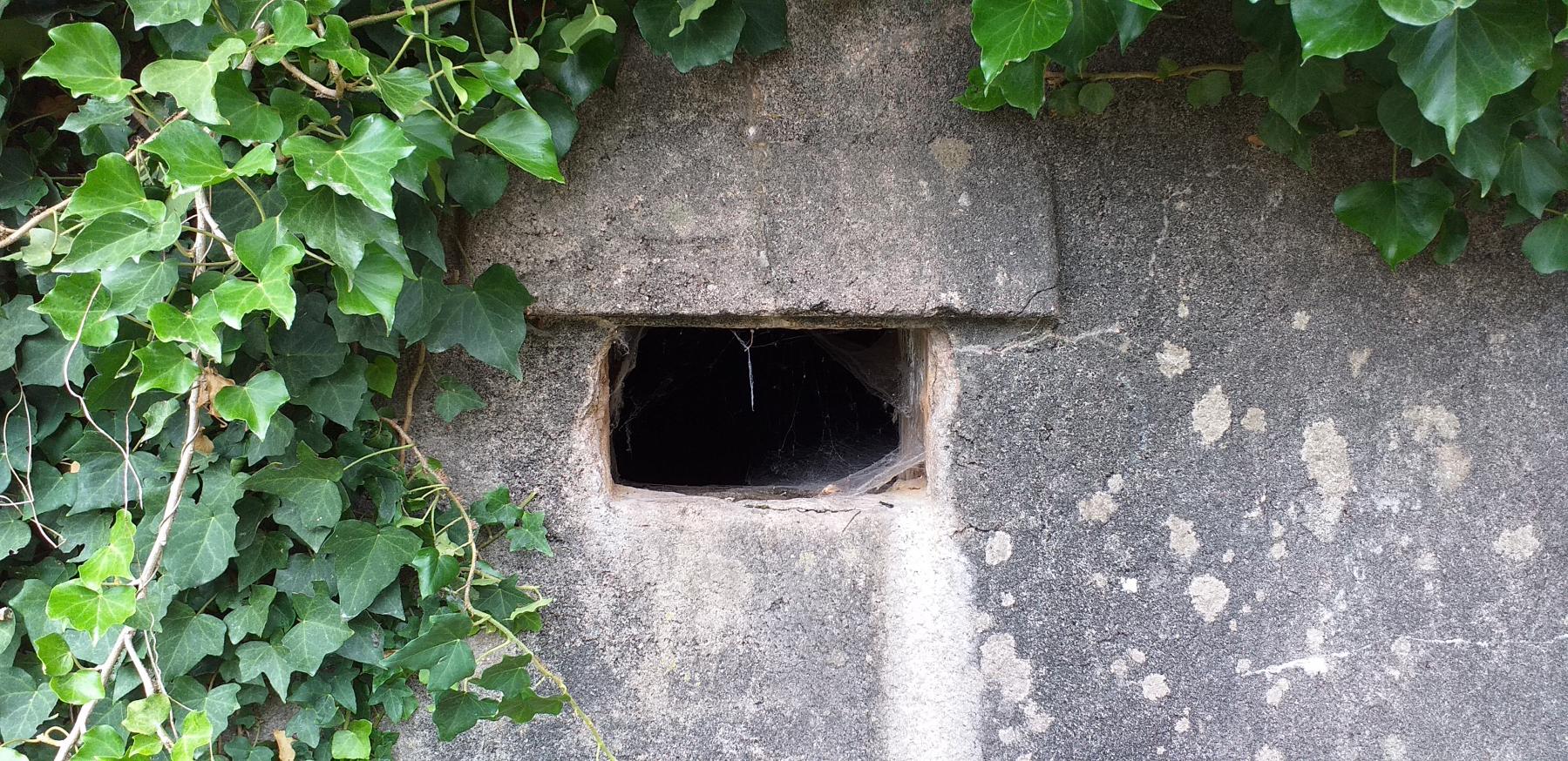 Ligne Maginot - 40 - QUATRE VENTS - (Blockhaus pour arme infanterie) - Créneau nord - G.Fuchs