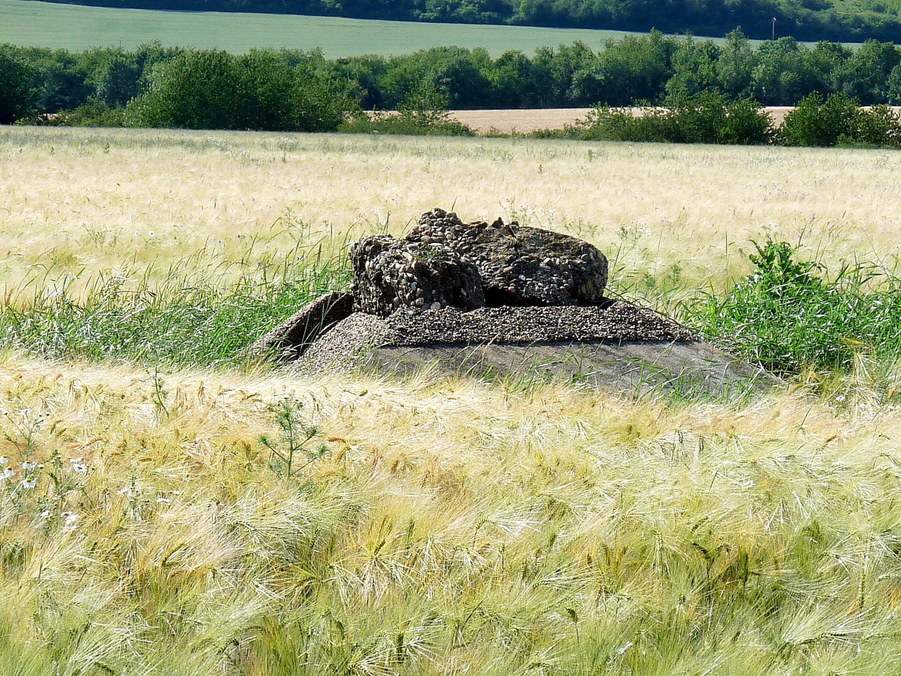 Ligne Maginot - DO4 - FOND DES MOULINS - (Observatoire d'artillerie) - juin 2020 - sylvie laure lambert