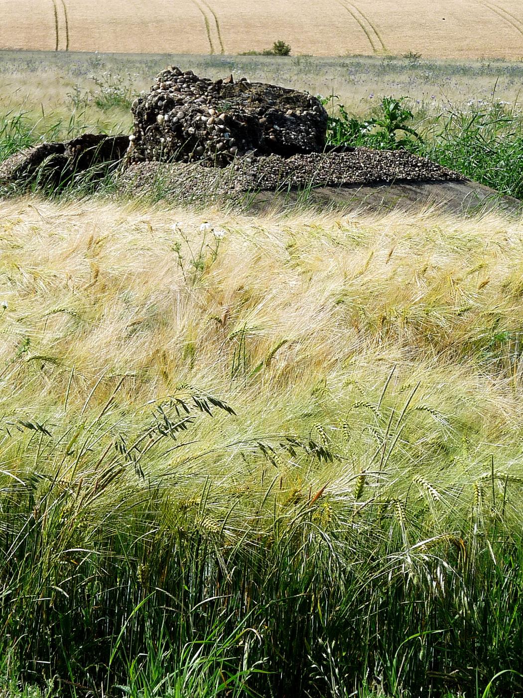 Ligne Maginot - DO4 - FOND DES MOULINS - (Observatoire d'artillerie) - juin 2020 - sylvie laure lambert