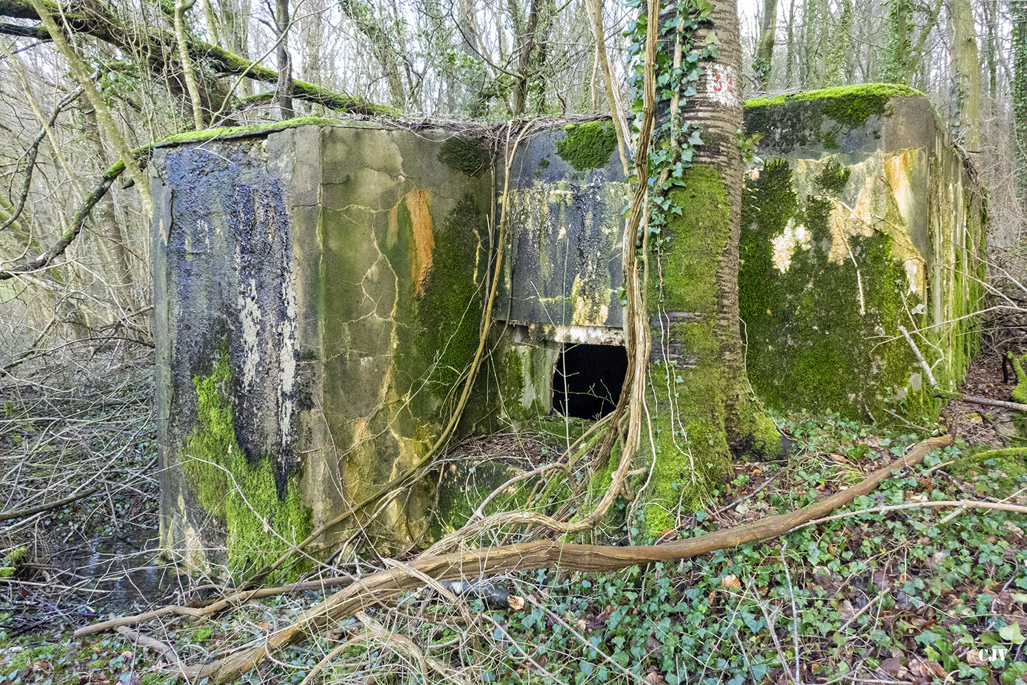 Ligne Maginot - DB346 - GRAND BOIS SUD - (Blockhaus pour arme infanterie) -  - Lia VERMEULEN