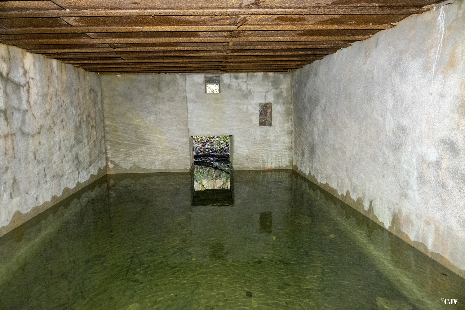 Ligne Maginot - DB346 - GRAND BOIS SUD - (Blockhaus pour arme infanterie) -  - Lia VERMEULEN