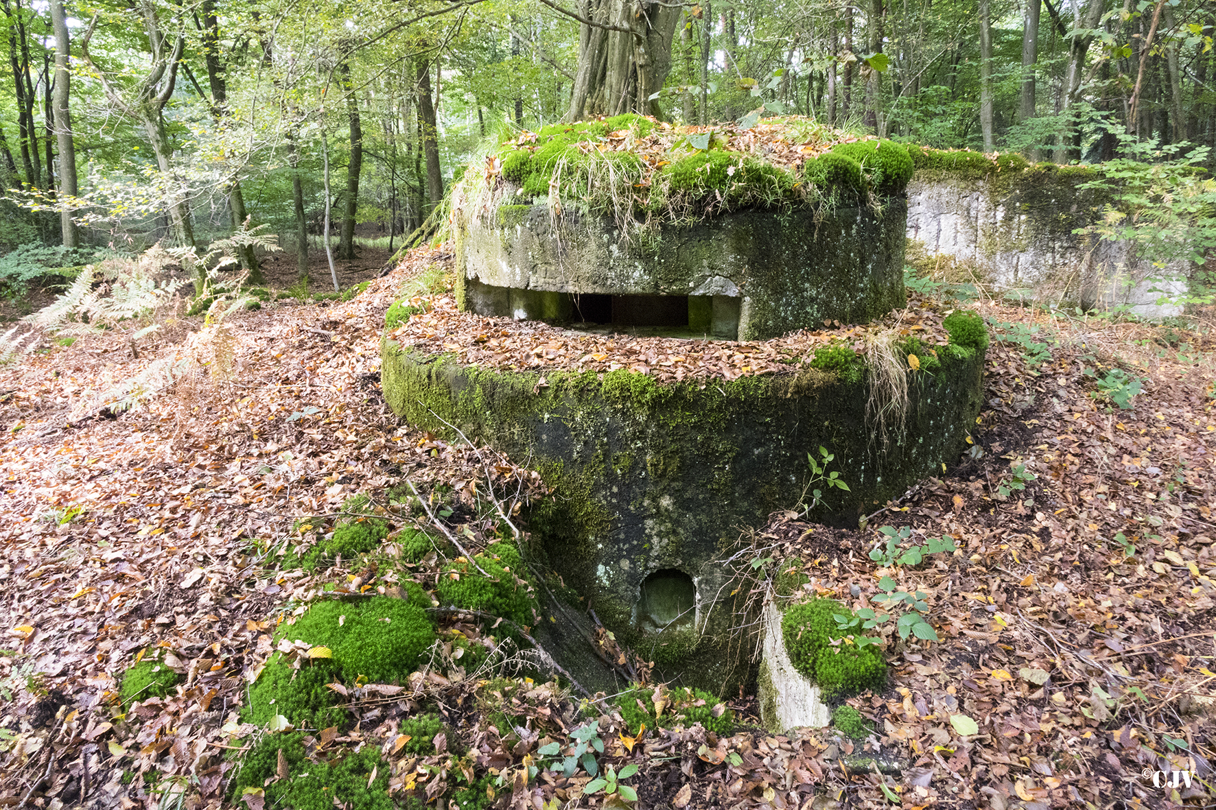 Ligne Maginot - ALLEE DU DEIESLACH 1 - (Blockhaus pour arme infanterie) -  - Lia VERMEULEN