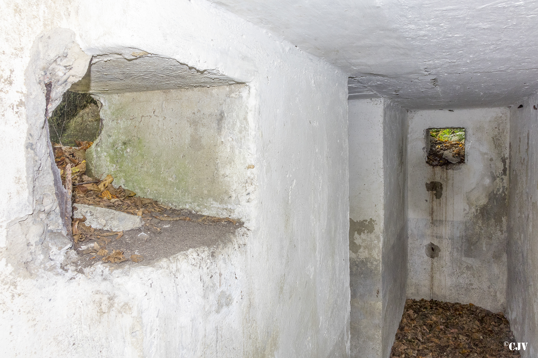 Ligne Maginot - ALLEE DU DEIESLACH 1 - (Blockhaus pour arme infanterie) -  - Lia VERMEULEN