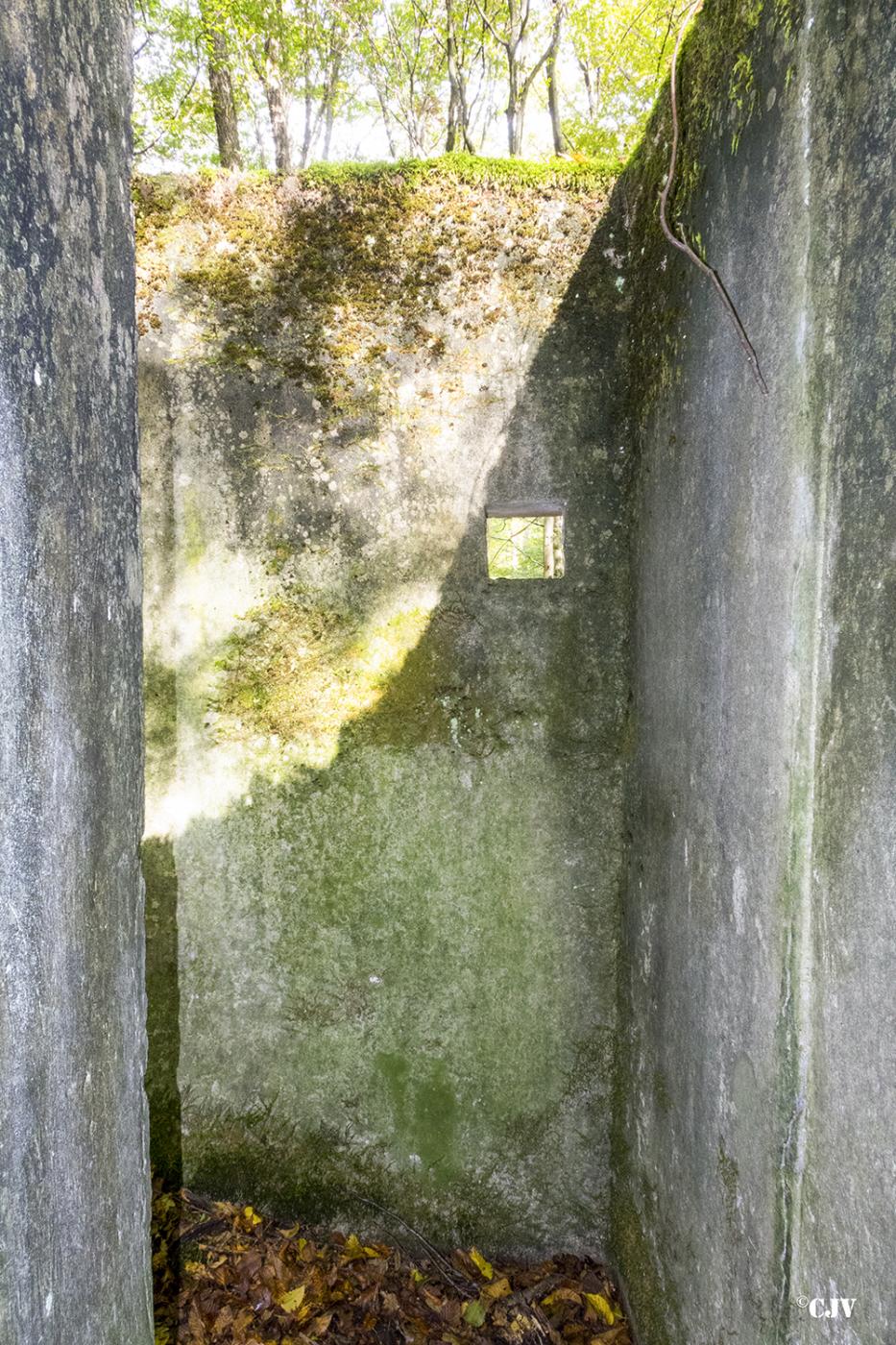 Ligne Maginot - ALLEE DU DEIESLACH 1 - (Blockhaus pour arme infanterie) -  - Lia VERMEULEN
