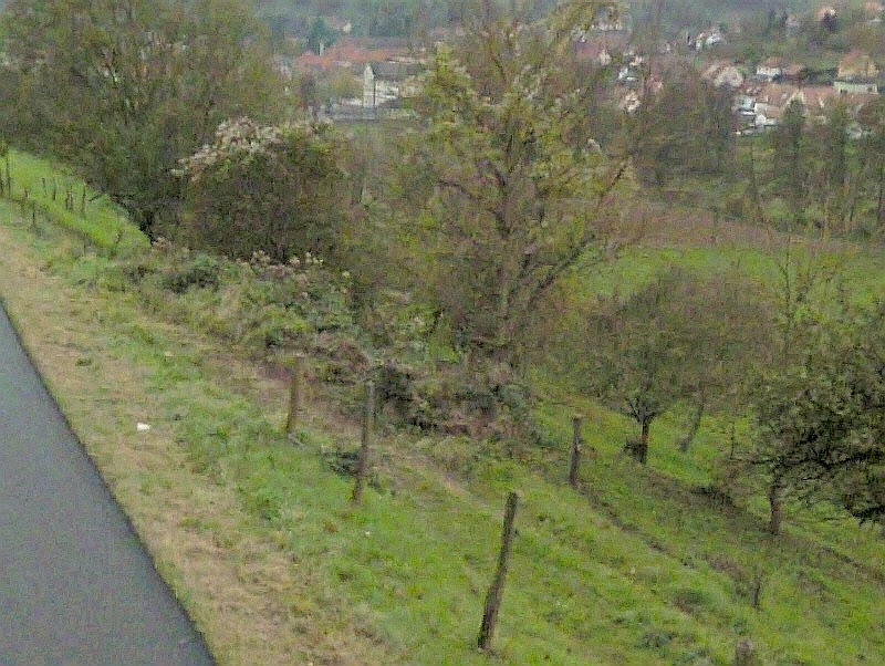 Ligne Maginot - ROUTE DE WISSEMBOURG - (Blockhaus pour canon) -  - Google Streetview 2007