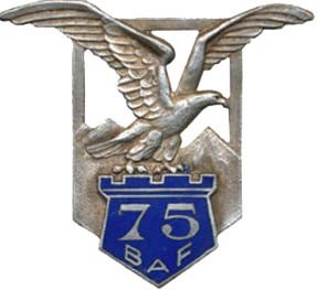 Insigne 75° BAF