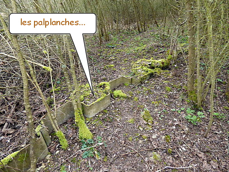 Ligne Maginot - PUTTELANGE - (Inondation défensive) - Les palplanches - Sylvie Laure LAMBERT