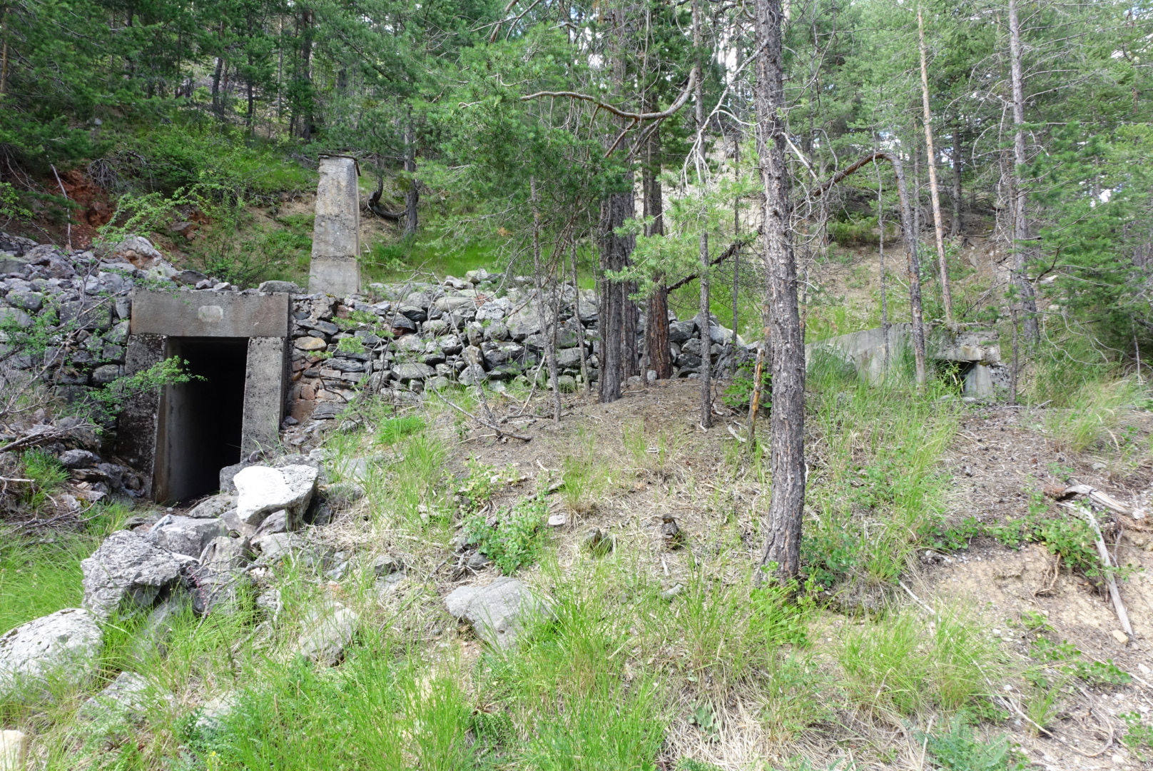 Ligne Maginot - LA VACHETTE OUEST - (Abri) -  - Lia VERMEULEN